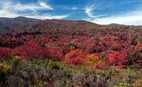 Autumn in the Graveyard Fields, Blue Ridge Pkwy.