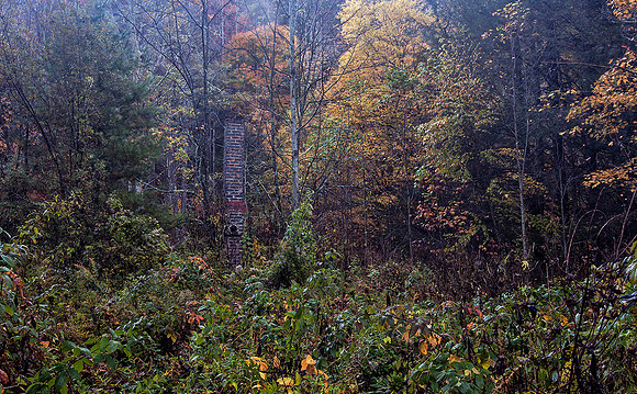 Old caretaker's cabin site, Rocky Fork SP, TN