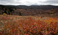 Fall fields, Black Balsam area, Pisgah NF