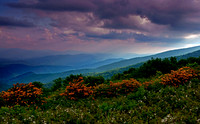 Summer meadows at dusk, Roan Highlands