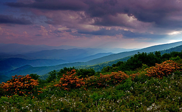 Summer meadows at dusk, Roan Highlands