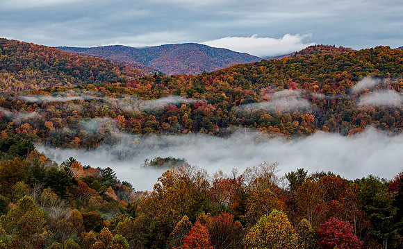 Autumn morning colors and mist, near Rocky Fork Sate Park, TN
