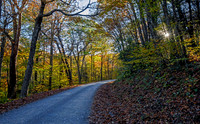 Unaka Mtn. Rd. in autumn