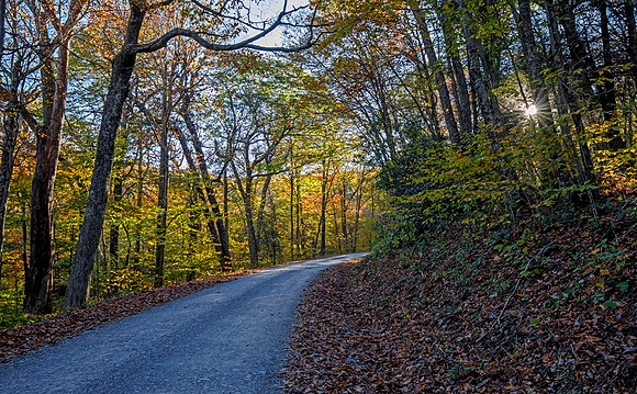 Unaka Mtn. Rd. in autumn
