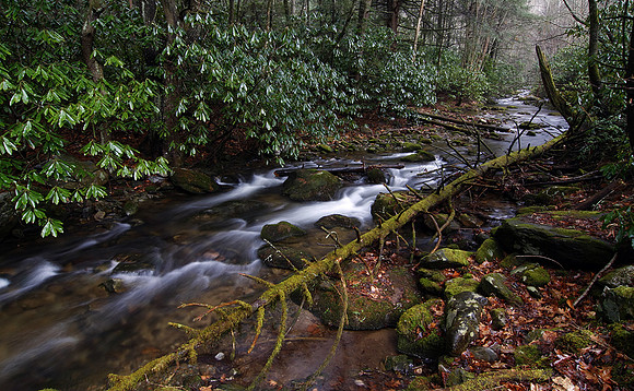 Rocky Fork Creek