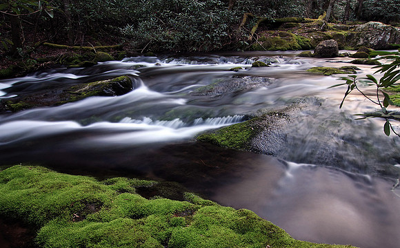 Rocky Fork Creek, Rocky Fork SP, TN