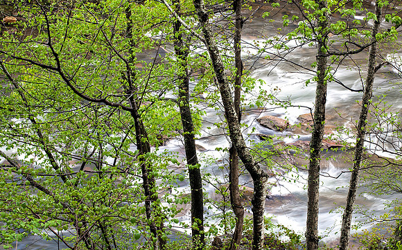 Nolichucky River, Erwin TN