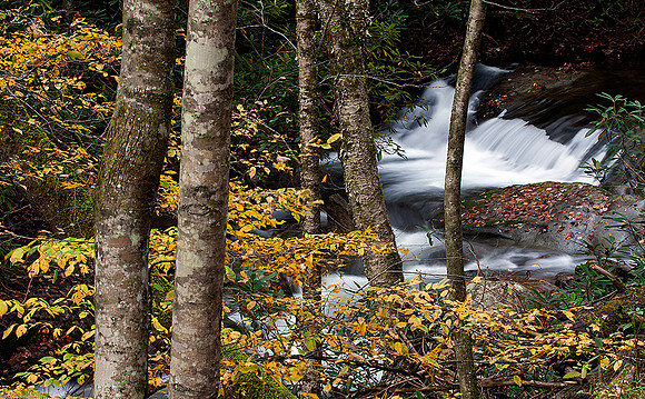 Fall on lower Rocky Fork Creek, Rocky Fork SP, TN