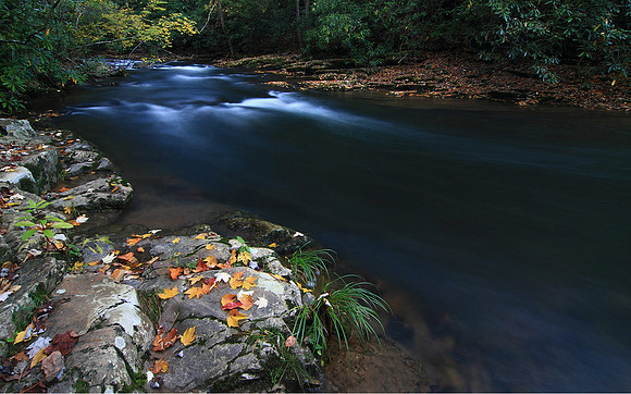 Beaver Dam Creek, Cherokee NF