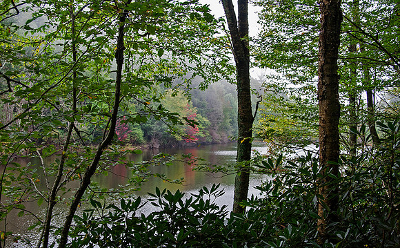 Hidden Lake (aka Birchfield Camp Lake) Cherokee NF